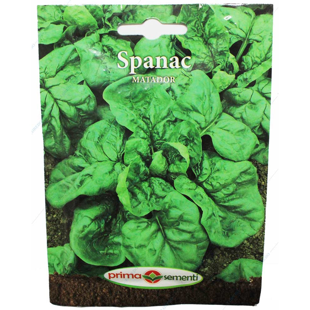 Seminte Spanac Matador 18 Gr, Prima Sementi