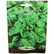 Seminte Spanac Matador 18 Gr, Prima Sementi