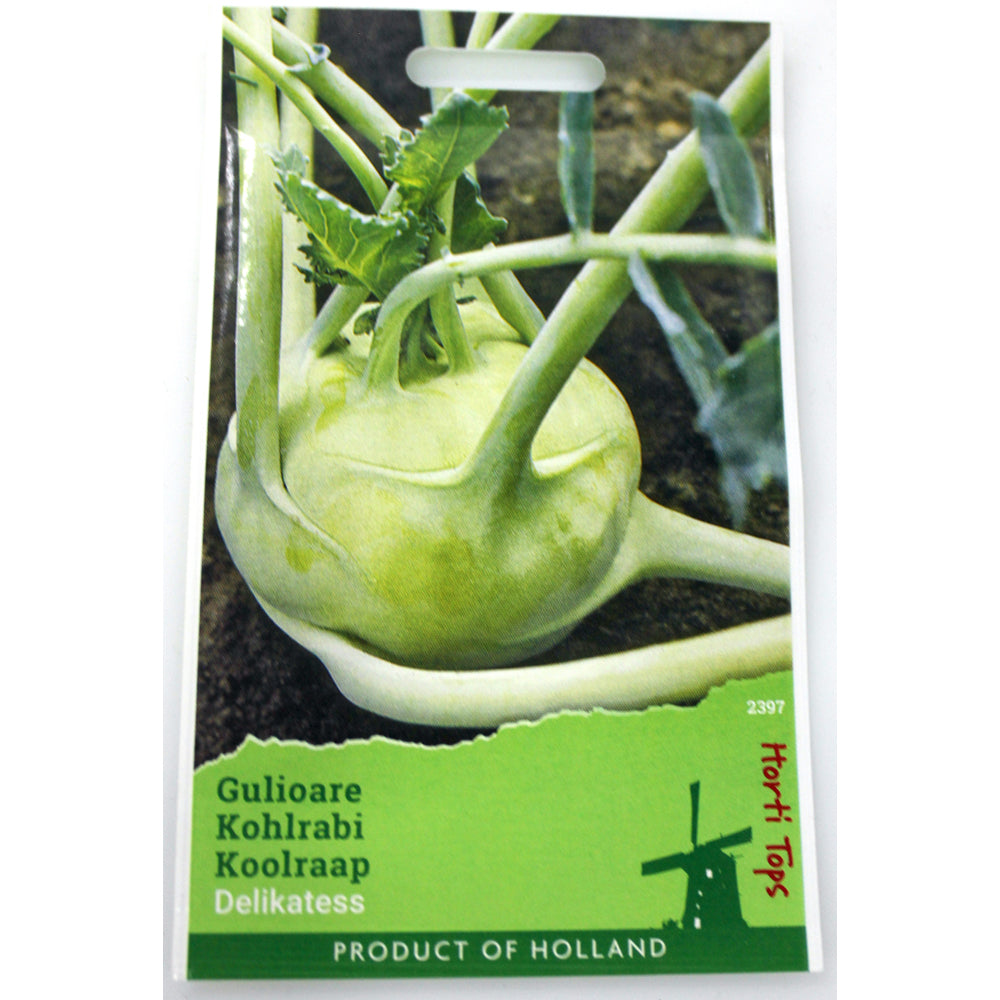 Seminte Gulie