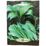 Seminte Leurda