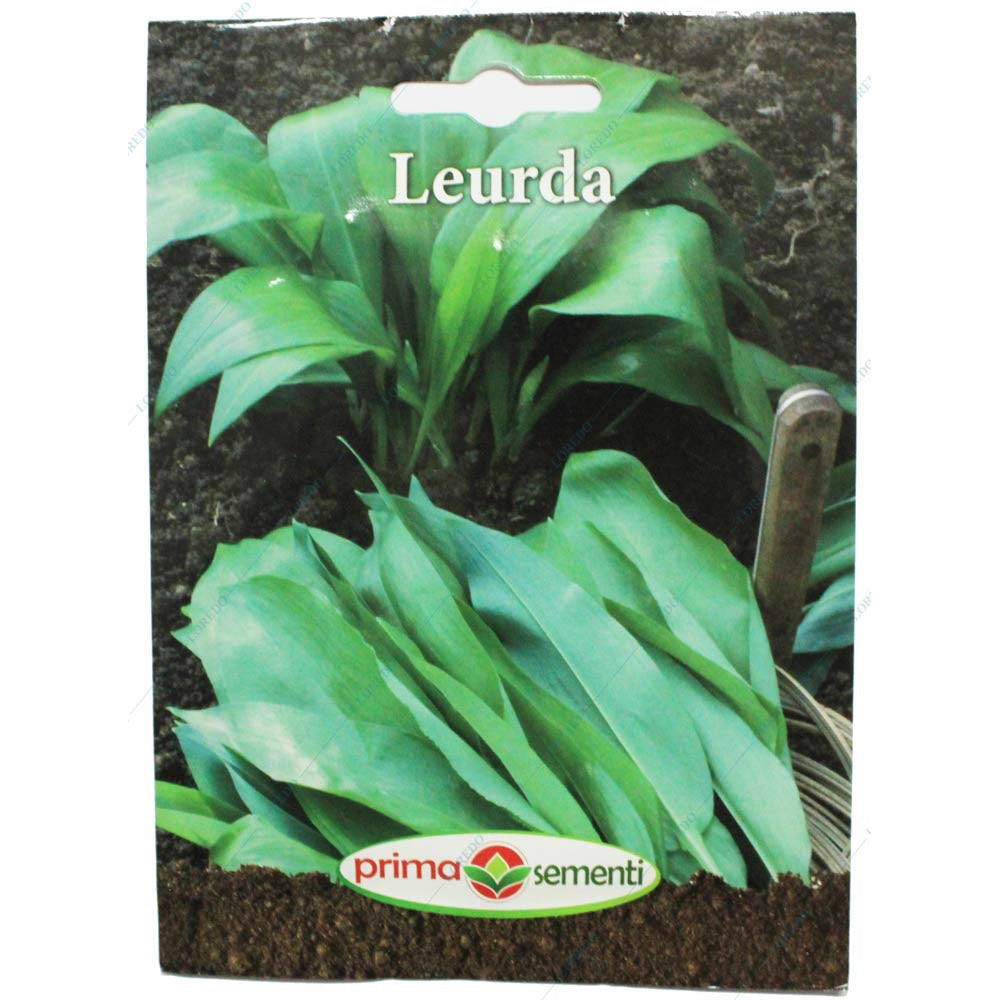 Seminte Leurda