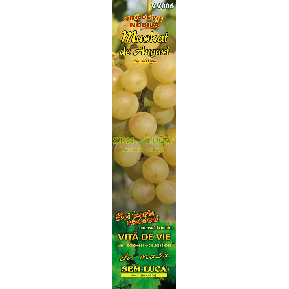 Butas Vie Muscat De August