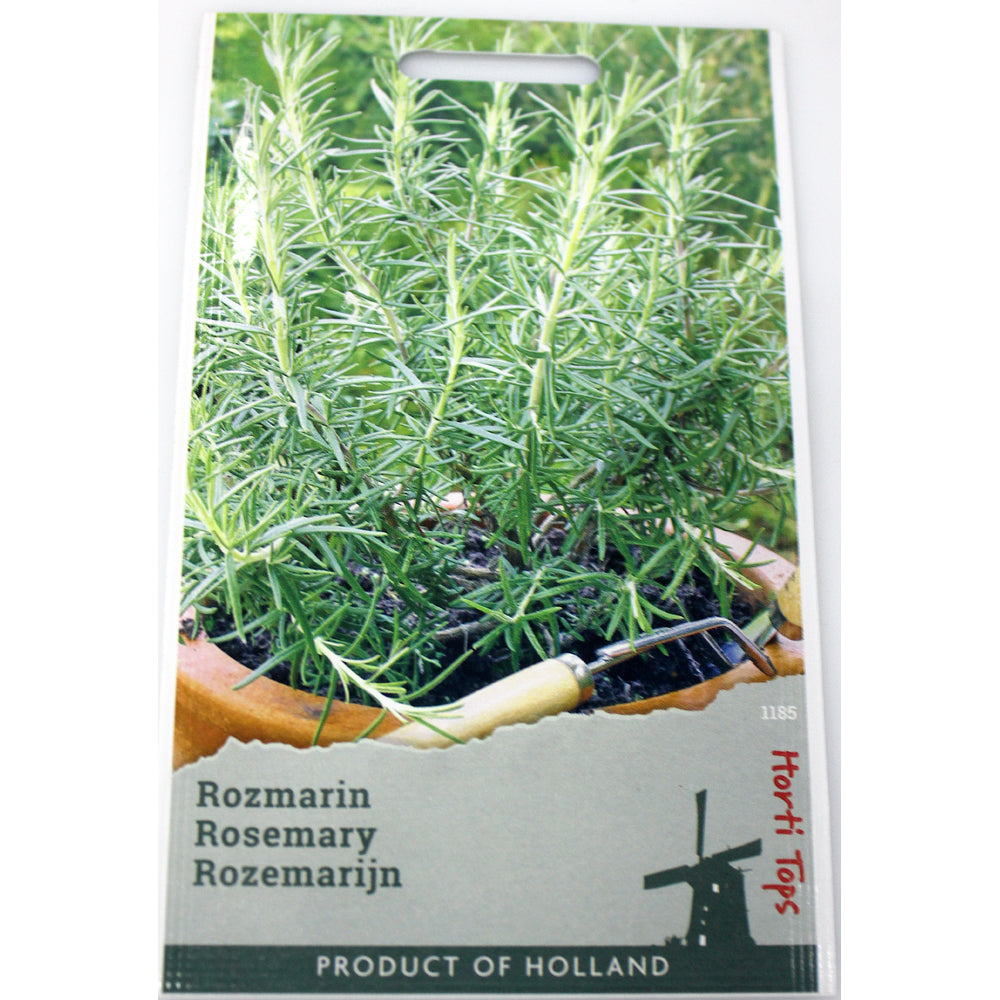 Seminte Rozmarin 0,05 Gr, Holland