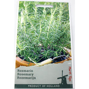 Seminte Rozmarin 0,05 Gr, Holland