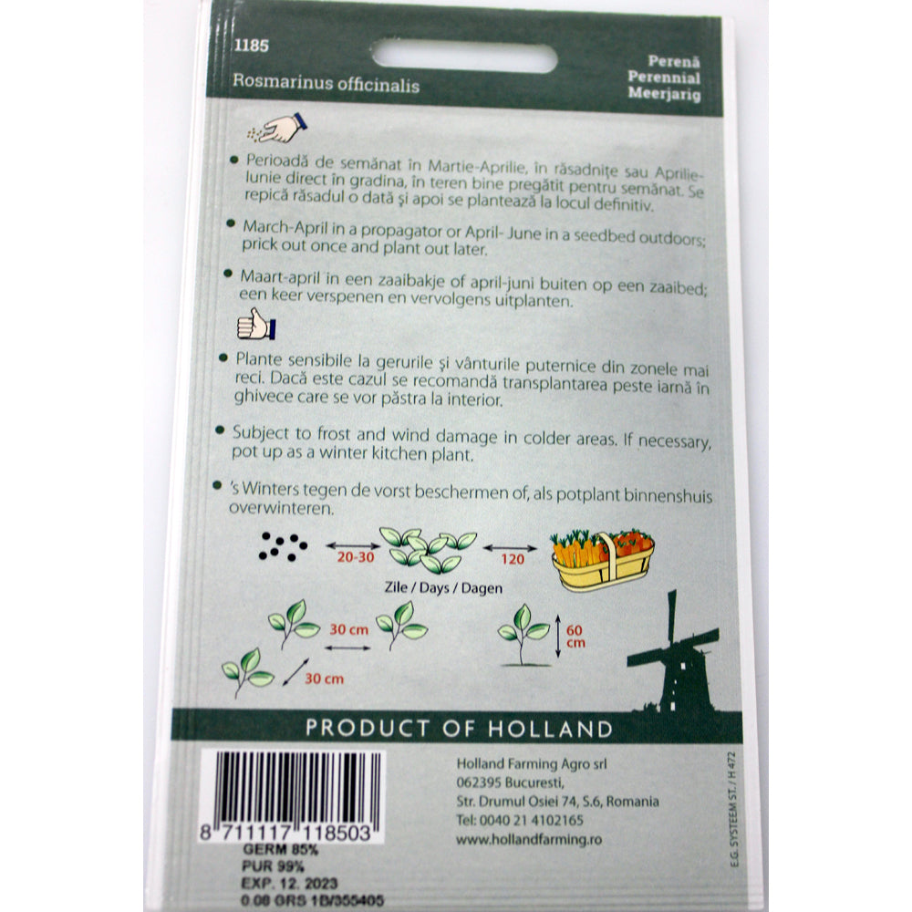 Seminte Rozmarin 0,05 Gr, Holland