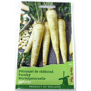 Seminte Patrunjel De Radacina