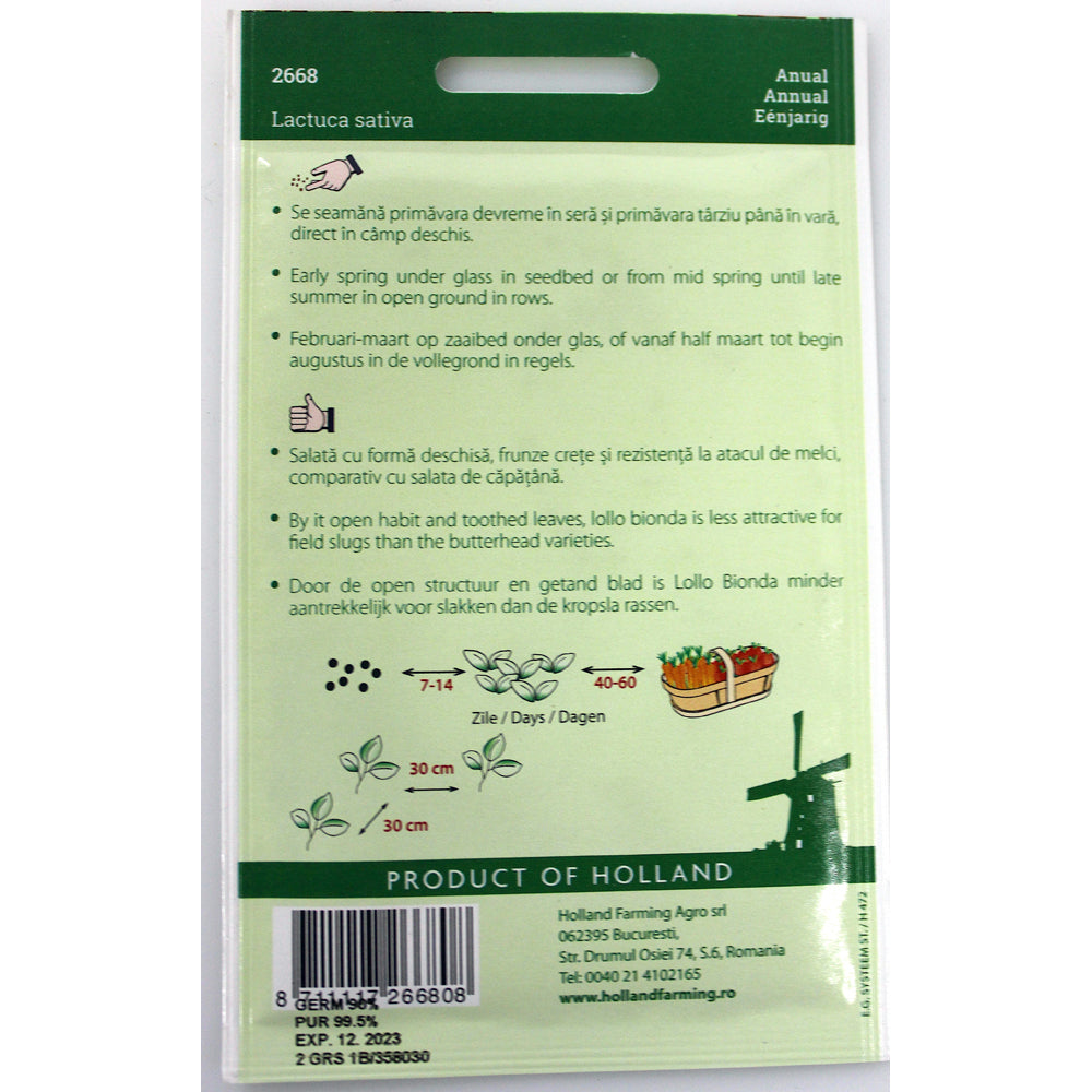 Seminte Salata Creata Lollo Bionda 2Gr