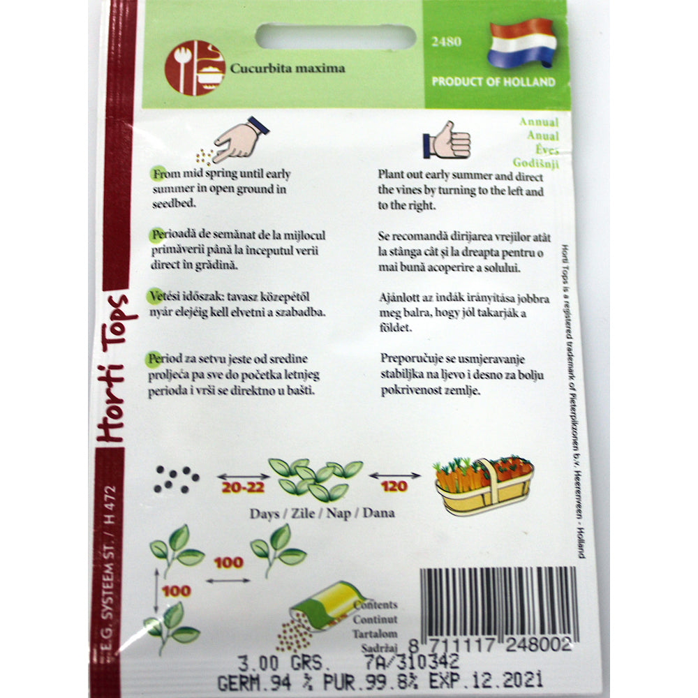 Seminte Dovleac Comestibil Galben 3 Gr, Holland