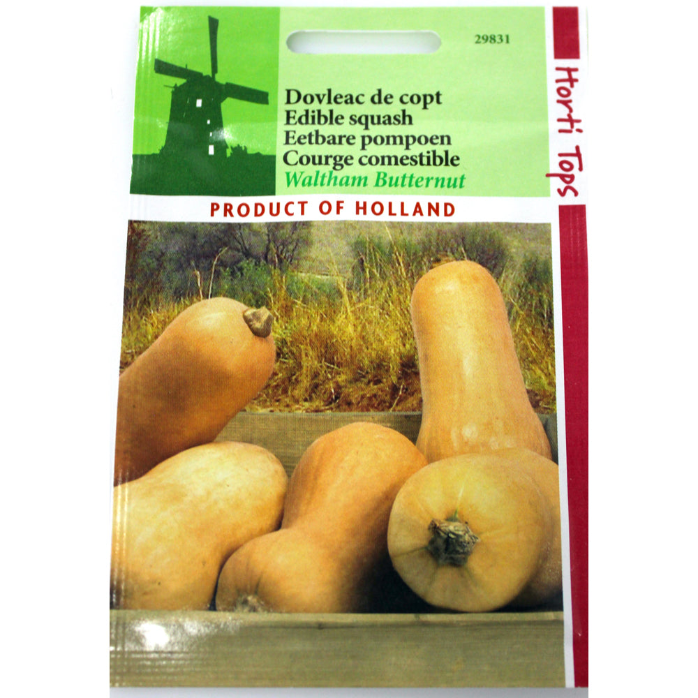 Seminte Dovleac De Copt Waltham Butternut 2 Gr, Holland