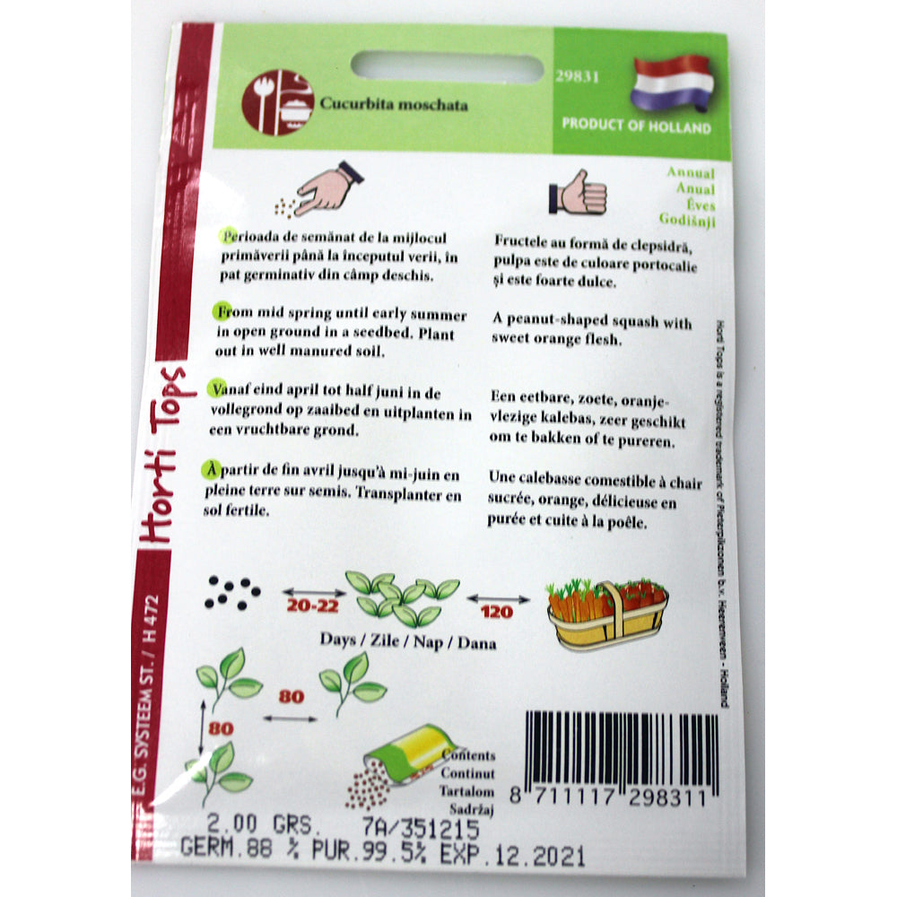 Seminte Dovleac De Copt Waltham Butternut 2 Gr, Holland