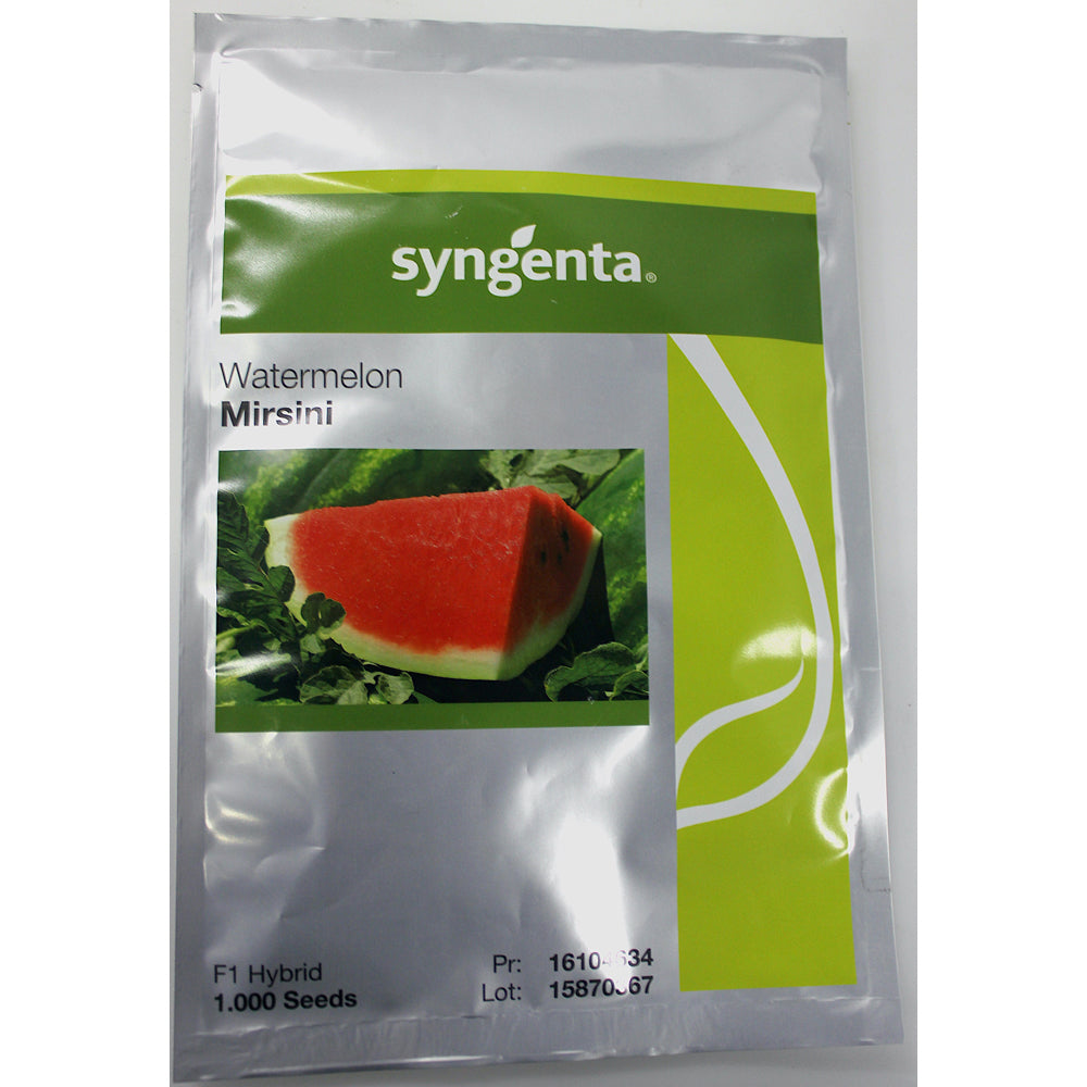 Seminte Pepene Verde Mirsini F1 1000 Seminte, Syngenta