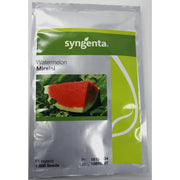 Seminte Pepene Verde Mirsini F1 1000 Seminte, Syngenta