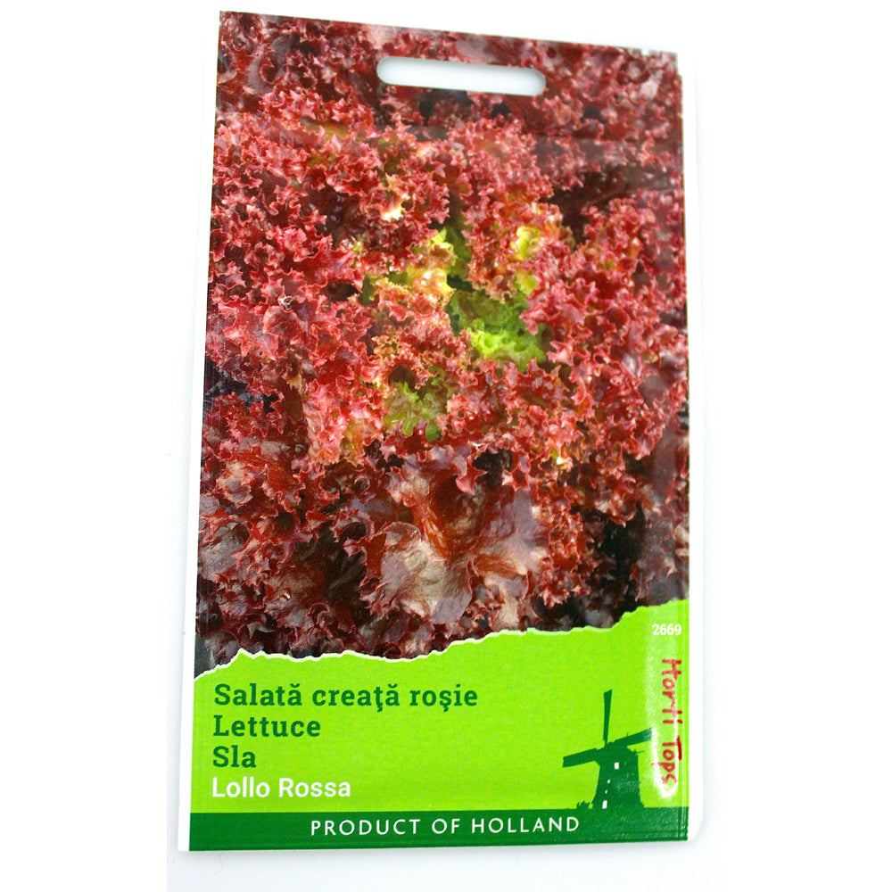 Seminte Salata Creata Rosie