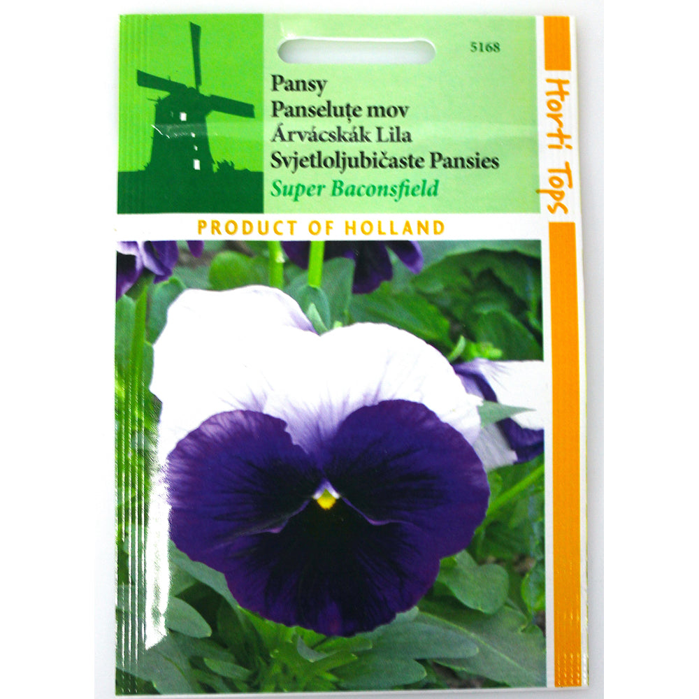 Seminte Flori Panselute Mov 0,15 Gr, Holland