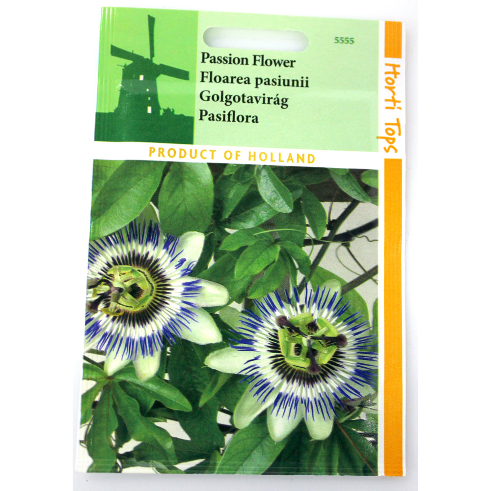 Seminte Floarea Pasiunii 0,33 Gr, Holland