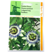 Seminte Floarea Pasiunii 0,33 Gr, Holland