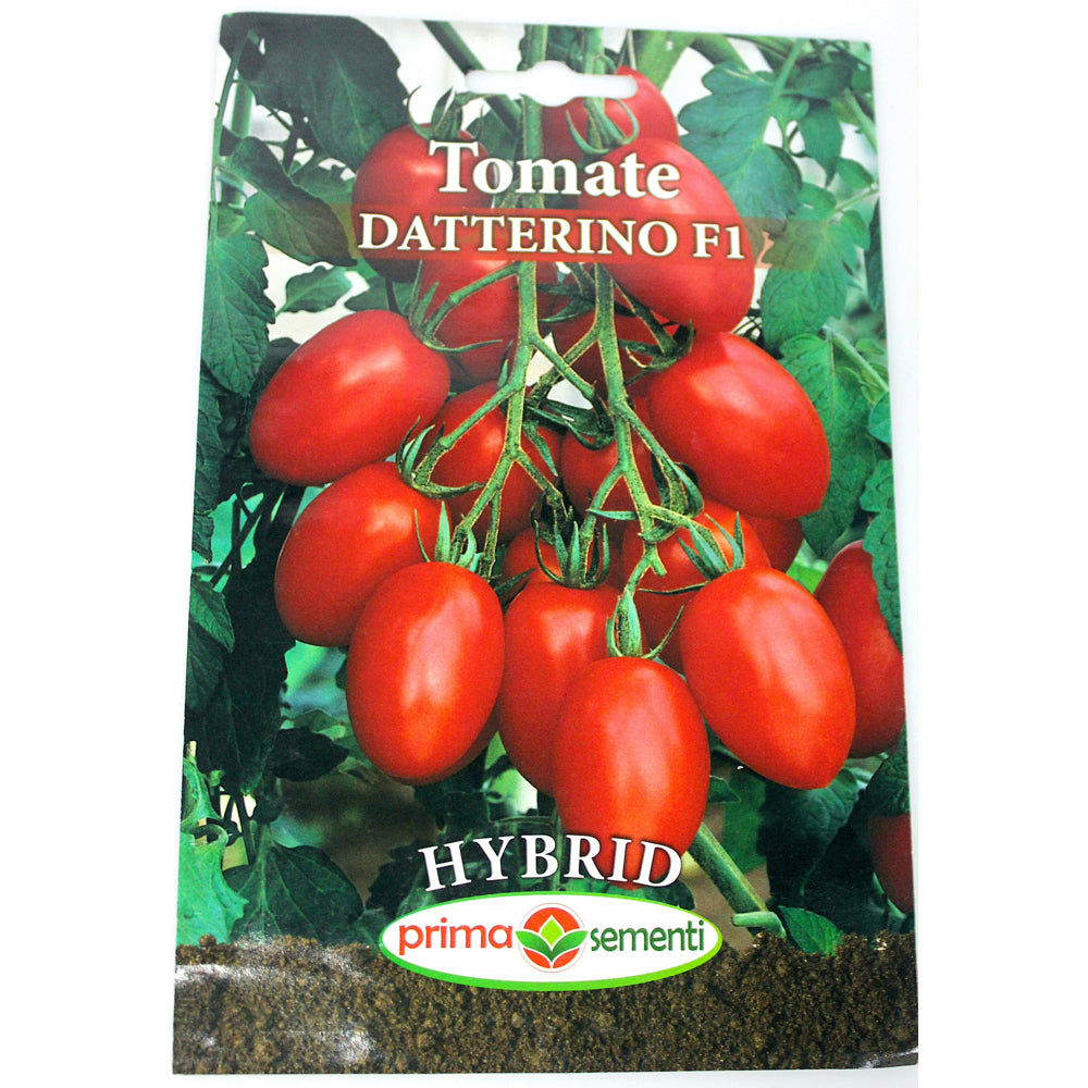 Seminte Tomate Datterino F1