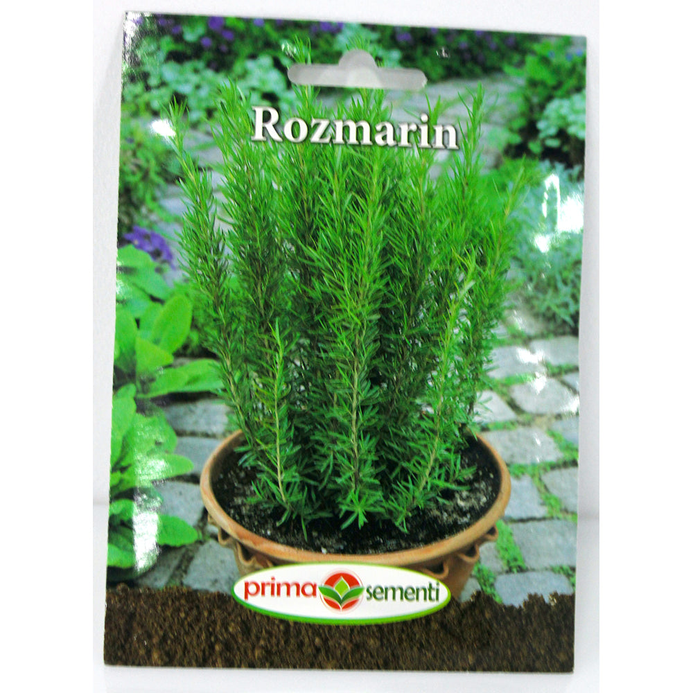Seminte Rozmarin Prima Sementi