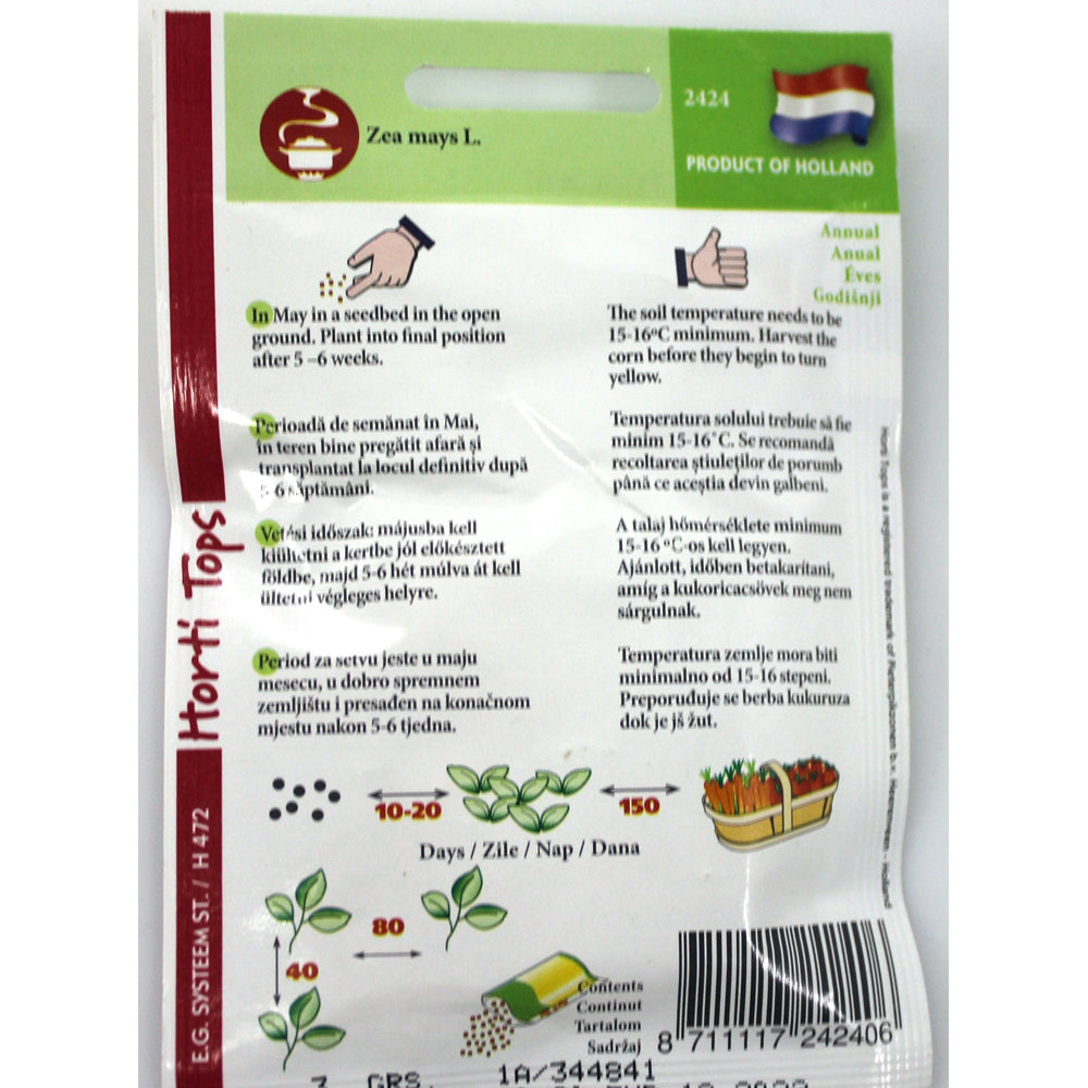 Seminte Porumb Popcorn 3 Gr, Holland