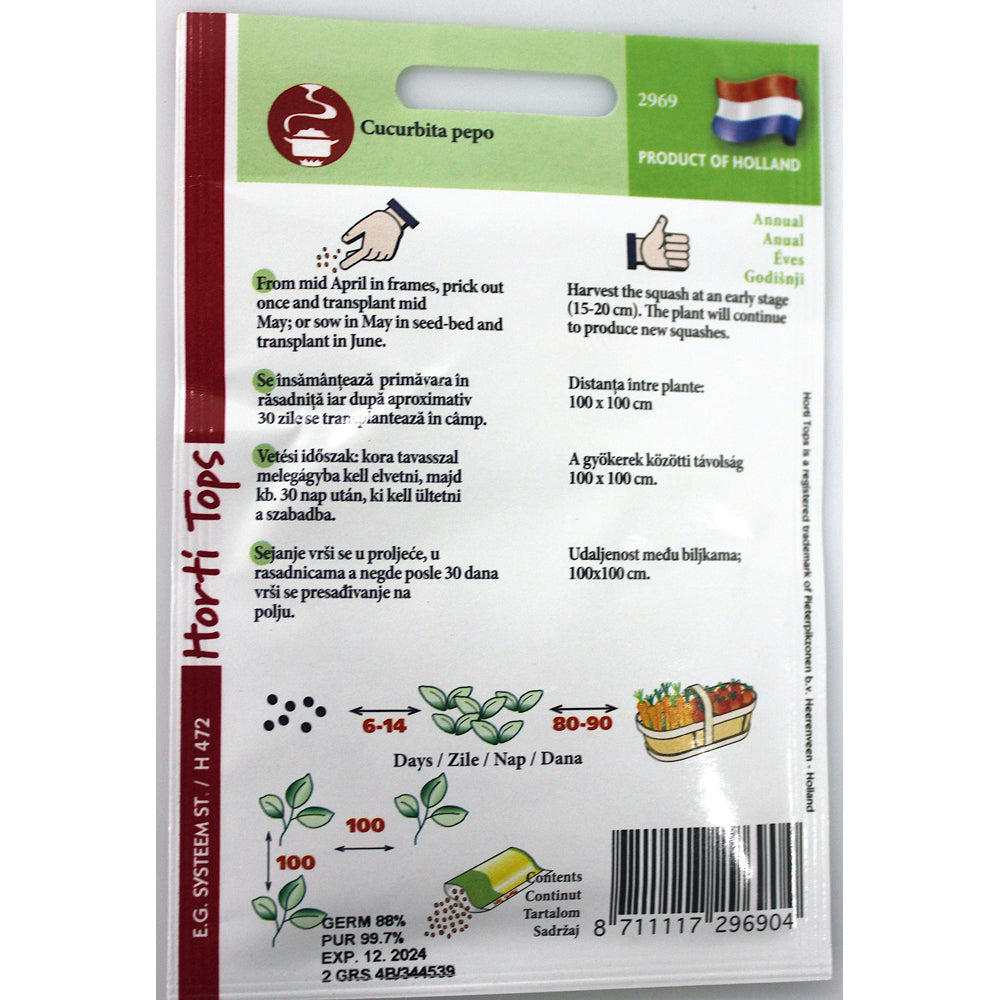 Seminte Dovlecel White Bush 2 Gr, Holland