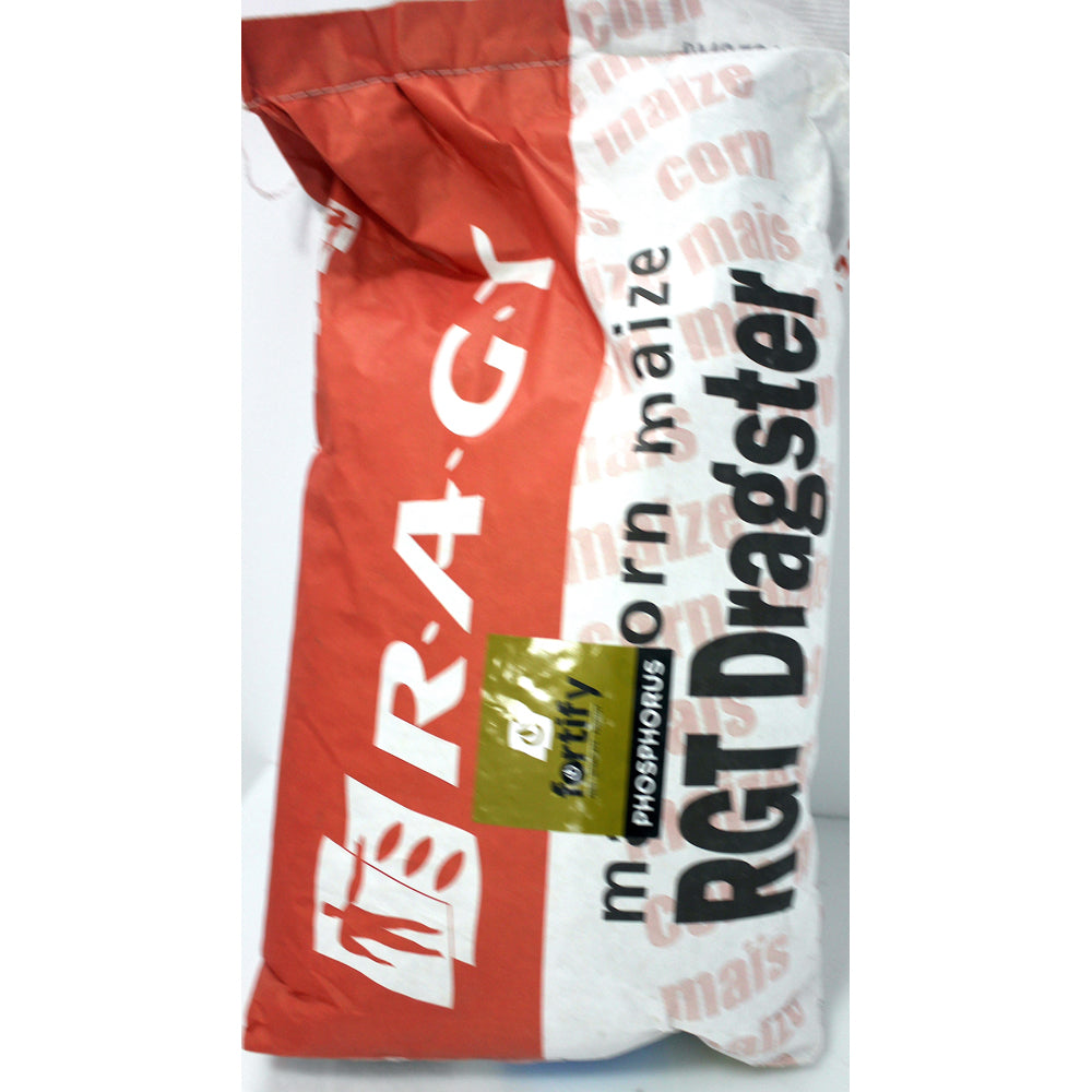 Seminte Porumb Ragt Dragster 50.000 Boabe, Fao 380