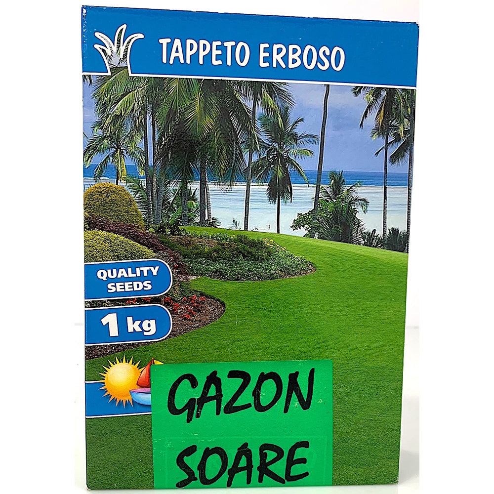 Seminte Gazon Soare 1 Kg