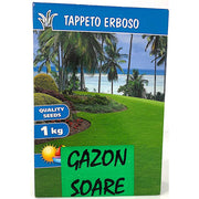 Seminte Gazon Soare 1 Kg
