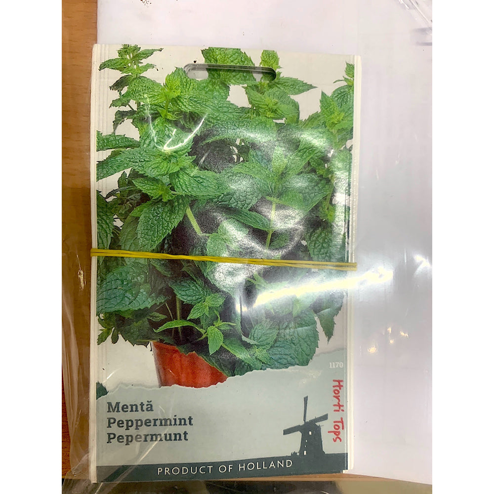 Seminte Menta
