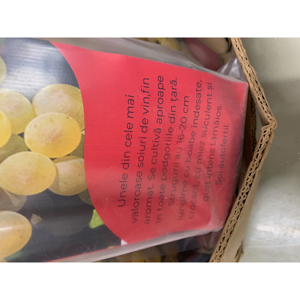 Butas Vie Tamaioasa Romaneasca