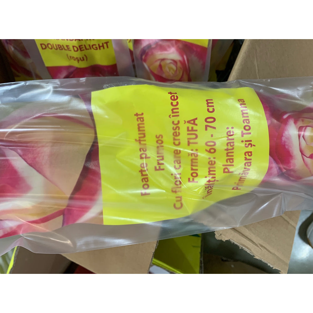 Butas Trandafir Double Delight Rosu