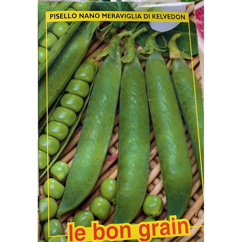 Seminte Mazare Kelvedon 1 Kg, Le Bon Grain
