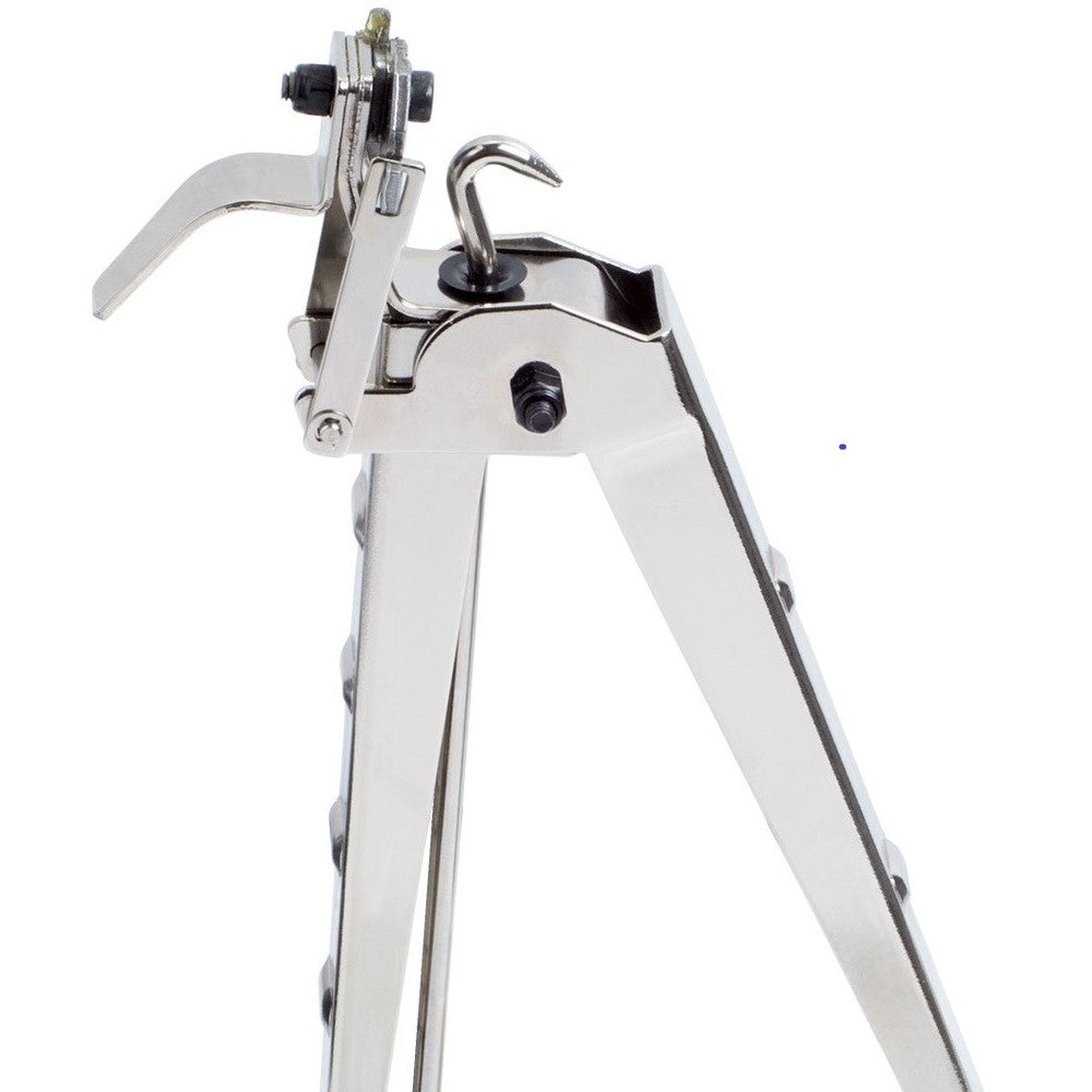 Cleste De Taiat Si Legat Stockfix 19