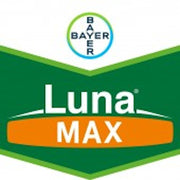 Luna Max 275Se 10 Ml Fungicid Sistemic Si De Contact, Bayer, Fainare (Vita De Vie)