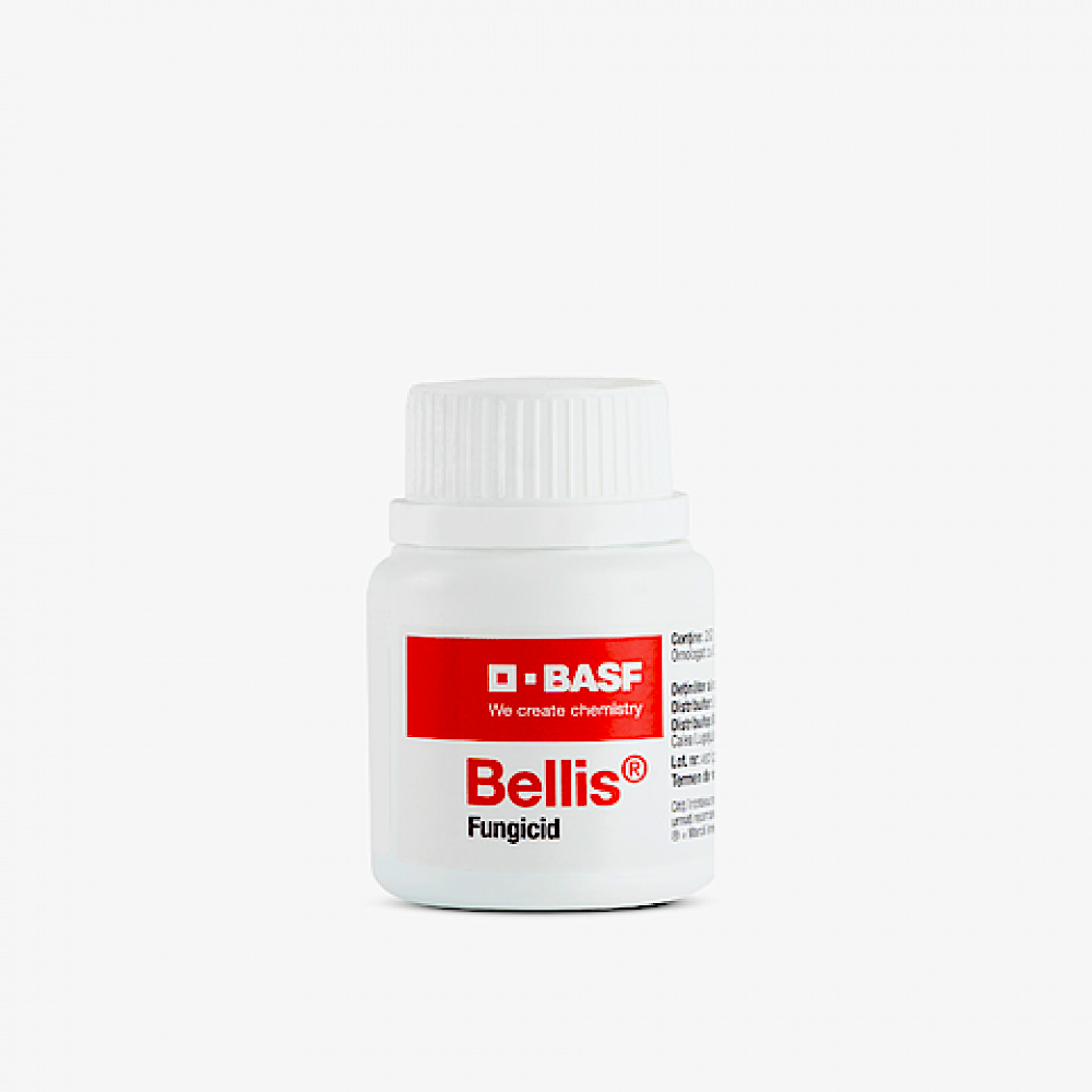 Bellis 20 Gr Fungicid Sistemic (Mar,Par) Basf