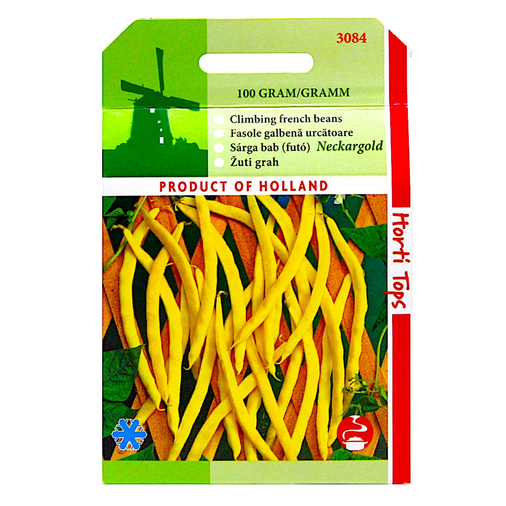 Seminte Fasole Fideluta, Galbena Neckargold 100 Gr, Holland 