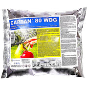 Captan 80Wdg 1 Kg, Fungicid De Contact, Arysta (Pomi, Vita De Vie, Tomate, Ceapa, Castraveti)