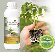 Kinactiv Root 40 Ml Biostimulator Inradacinare Cu Aminoacizi Si Microelemente, Radicular Sistemic, Summit Agro, Produs Bio/ Ecologic