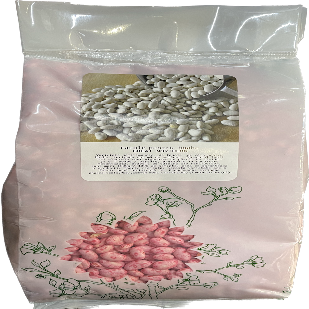 Seminte Fasole Great Northen 1 Kg
