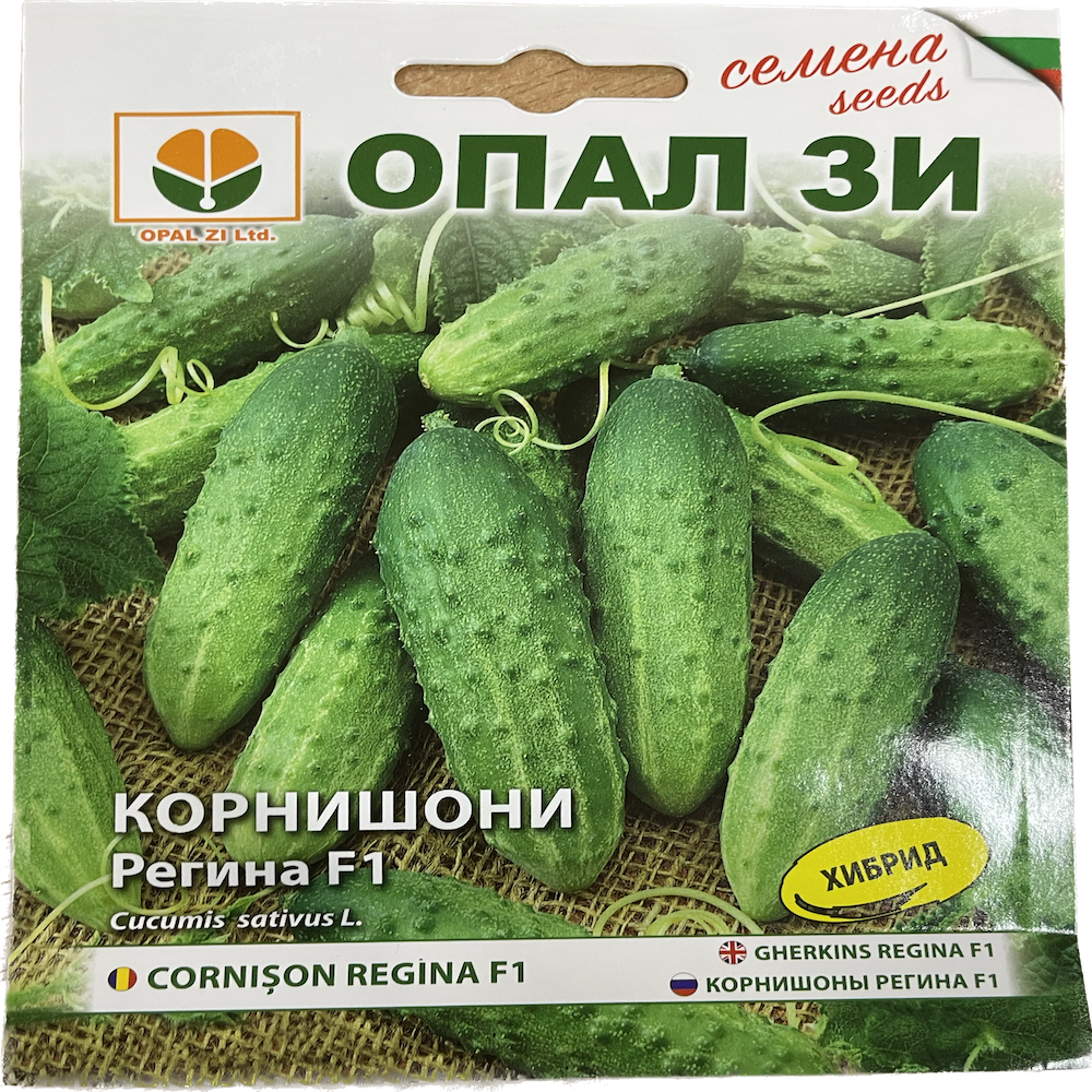 Seminte Castraveti Cornison Regina F1 1 Gr Bulgaria