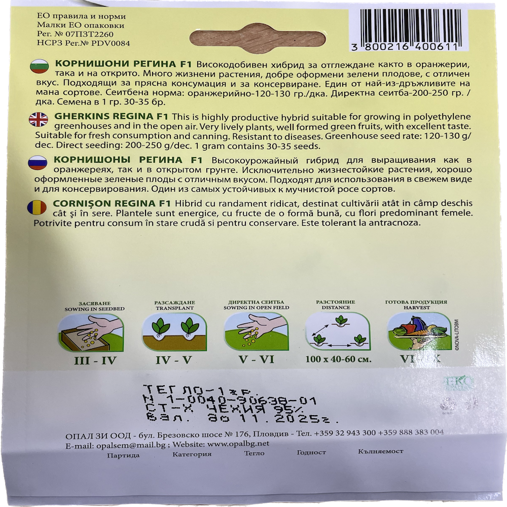Seminte Castraveti Cornison Regina F1 1 Gr Bulgaria