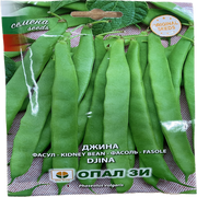 Seminte Fasole Djina 40 Gr, Opalzi Bulgaria