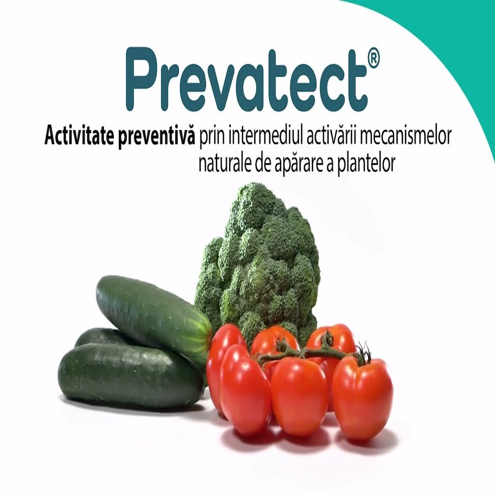 Prevatect 40 Ml, Fungicid Certificat Bio/ Ecologic, Ascenza, Putregai Cenusiu (Vita De Vie, Fructe, Legume), Inducator De Aparare (Cartofi, Cereale Paioase, Fructe De Padure, Legume, Plante Ornamentale, Plante Tehnice, Vita De Vie)