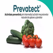 Prevatect 40 Ml, Fungicid Certificat Bio/ Ecologic, Ascenza, Putregai Cenusiu (Vita De Vie, Fructe, Legume), Inducator De Aparare (Cartofi, Cereale Paioase, Fructe De Padure, Legume, Plante Ornamentale, Plante Tehnice, Vita De Vie)