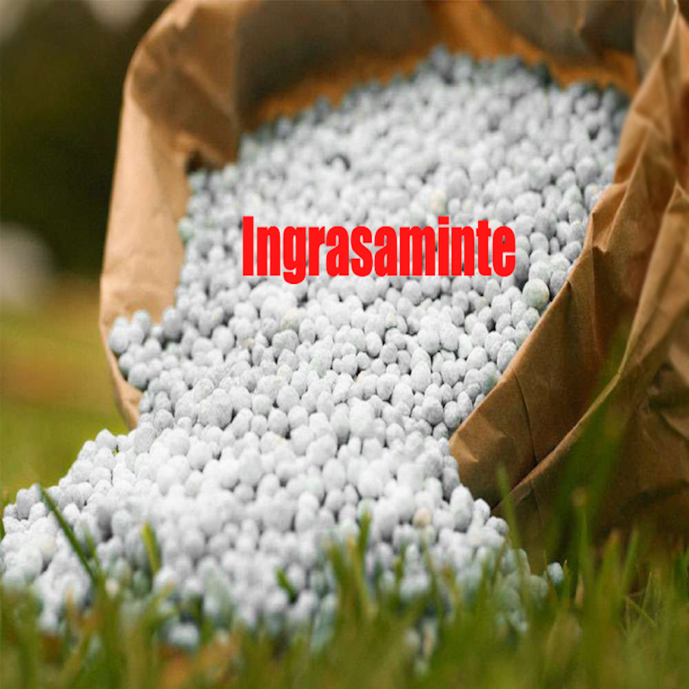 Uree Sac 40 Kg, Ingrasamant
