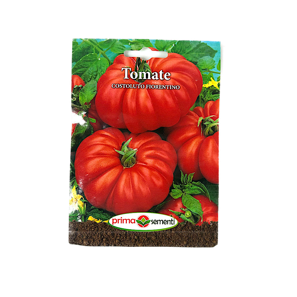 Seminte Tomate Costoluto Fiorentino