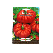 Seminte Tomate Costoluto Fiorentino