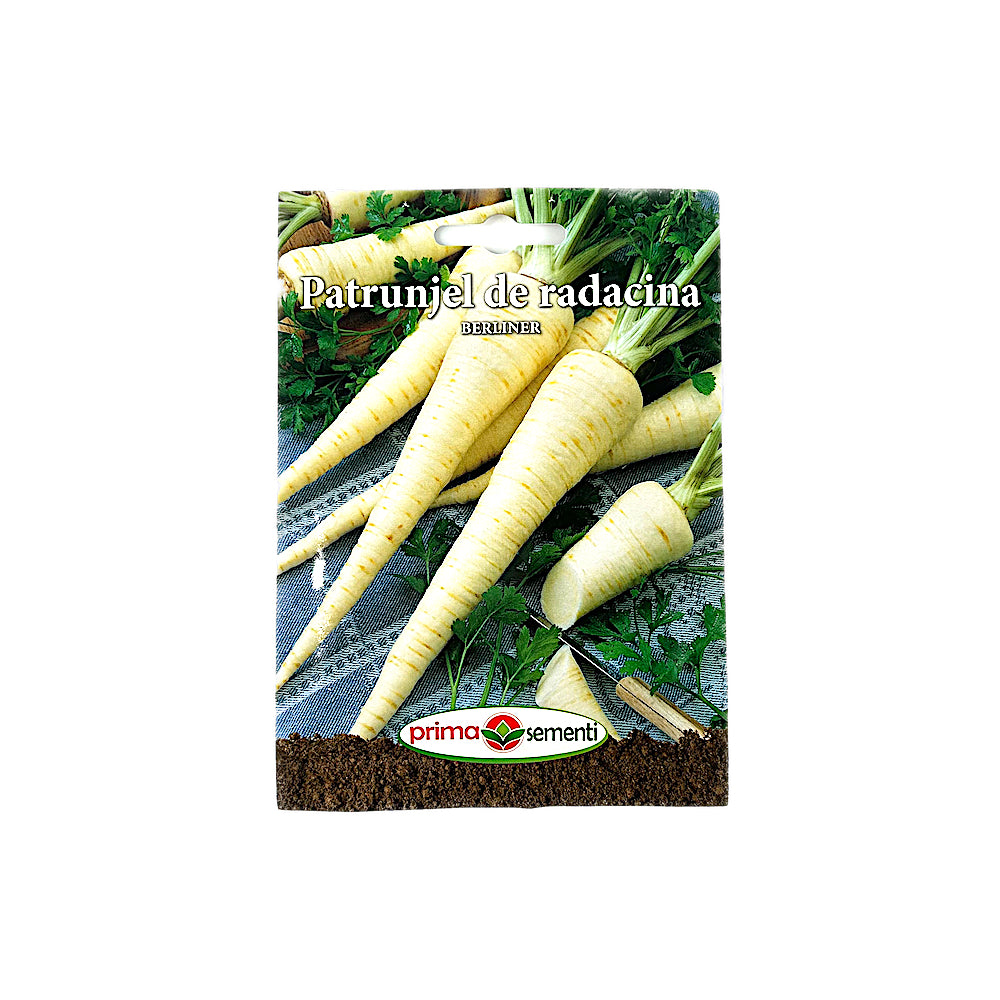Seminte Patrunjel Radacina Berliner, Prima Sementi