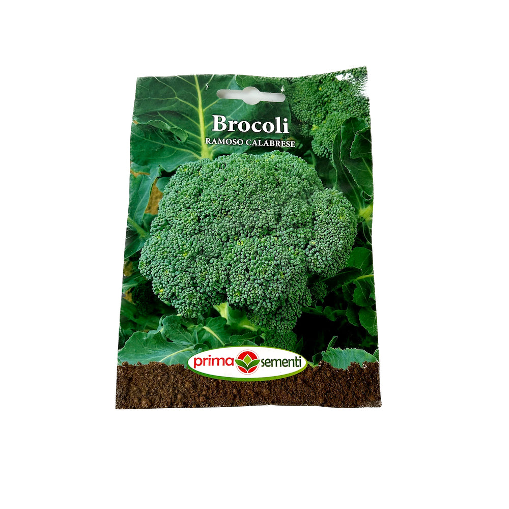 Seminte Brocoli Ramoso Calabrese 1 Gr, Prima Sementi