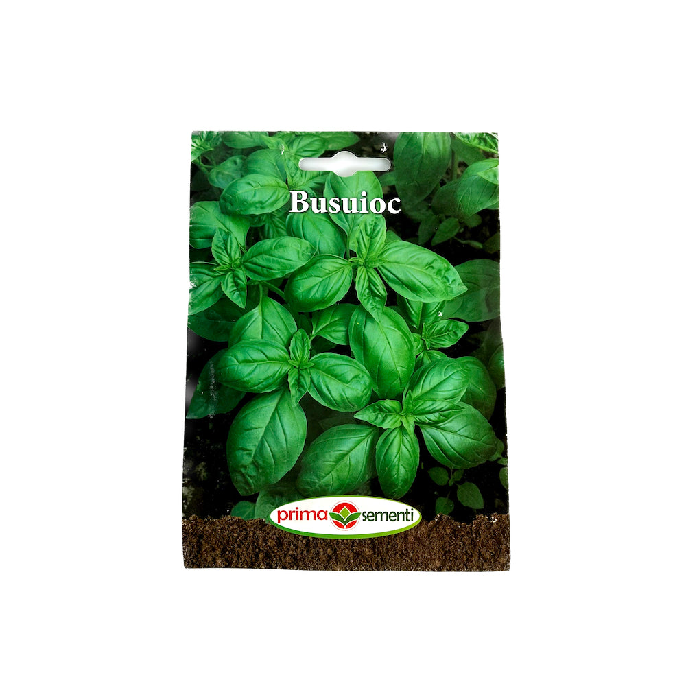 Seminte Busuioc Verde 3 Gr, Prima Sementi