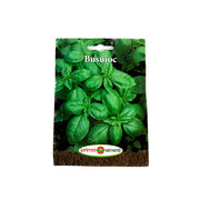 Seminte Busuioc Verde 3 Gr, Prima Sementi
